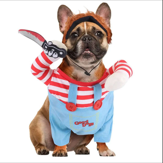 Dog wearing Chucky horror doll costume with toy knife prop
