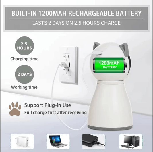 Cat chasing Hugssnpaws Automatic Laser Toy light in living room