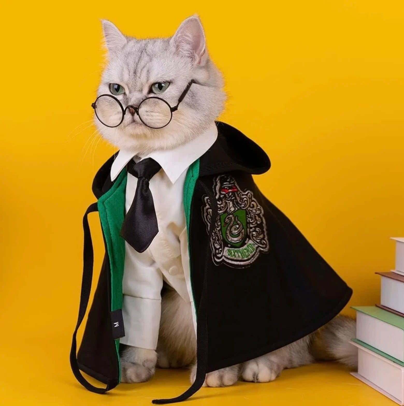 Cat wearing Hugssnpaws Wizard Cape Costume with magic hat
