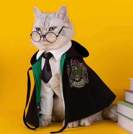 Cat wearing Hugssnpaws Wizard Cape Costume with magic hat