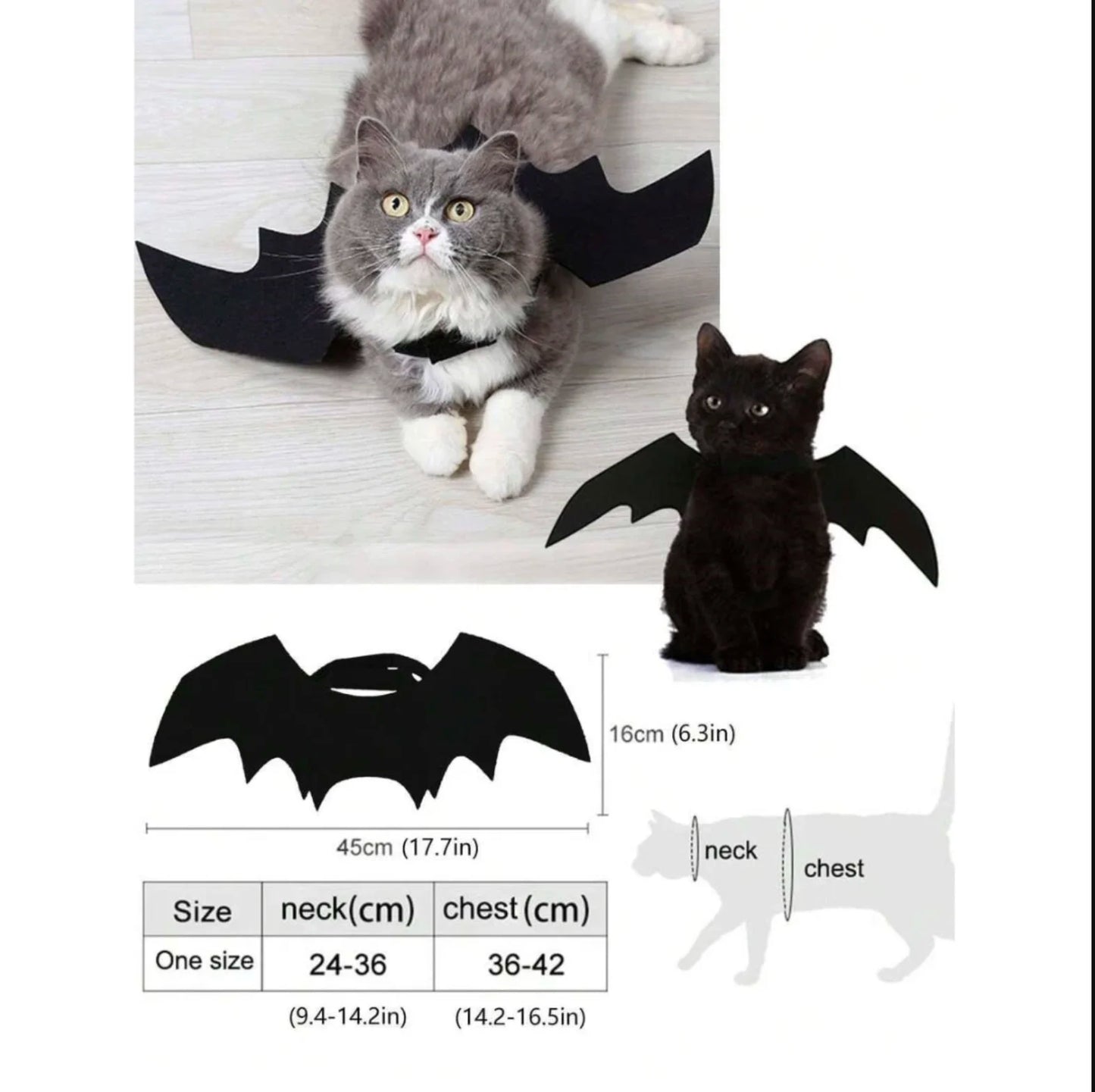 Cat wearing black bat wings costume on white background