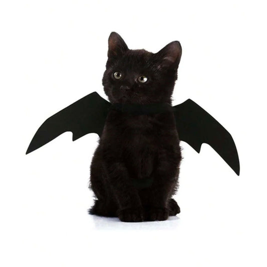 Cat wearing black bat wings costume on white background