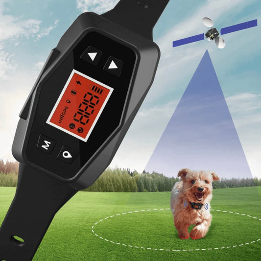 Golden retriever wearing Hugssnpaws GPS Wireless Dog Fence collar outdoors