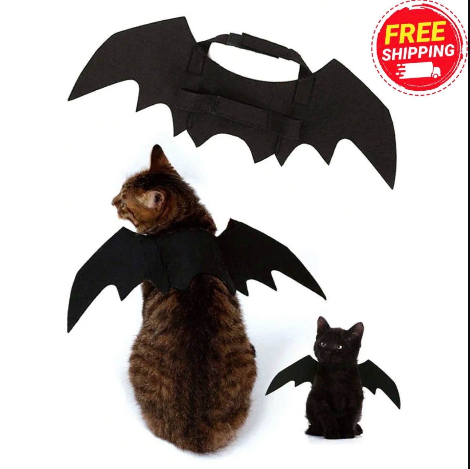 Cat wearing black bat wings costume on white background