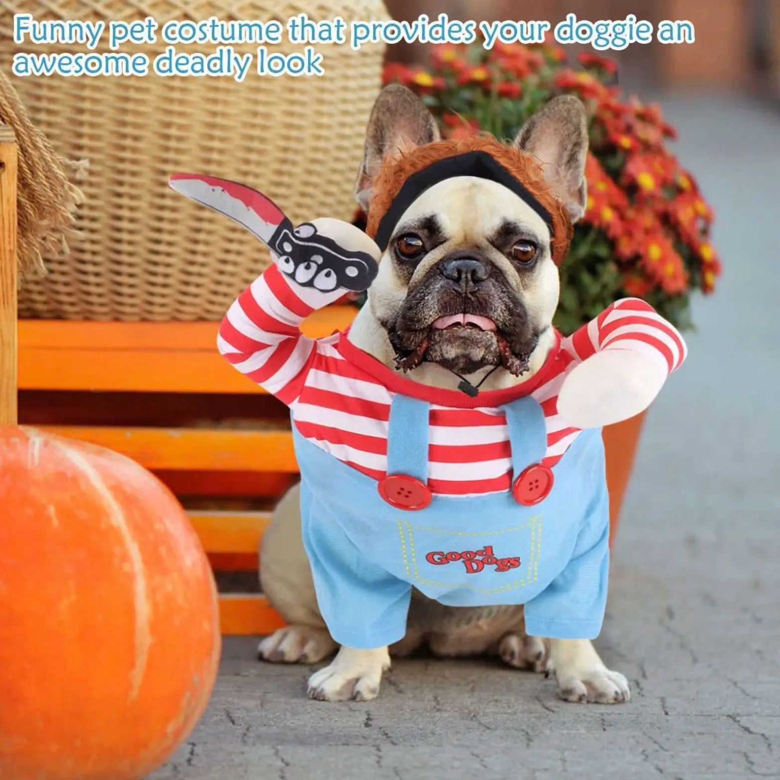 Dog wearing Chucky horror doll costume with toy knife prop