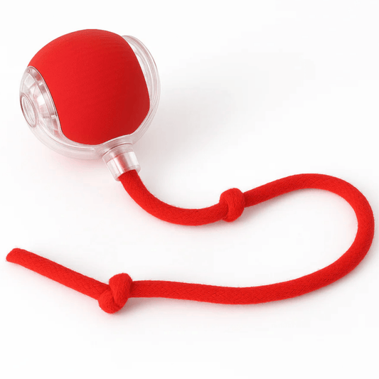 🐾 Hugssnpaws™ Interactive Pet Ball - Hugssnpaws