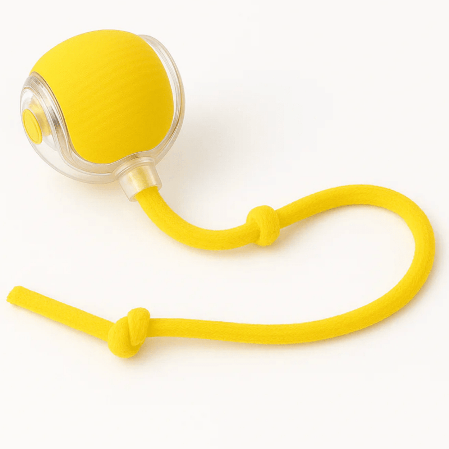 🐾 Hugssnpaws™ Interactive Pet Ball - Hugssnpaws